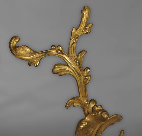Paire de chenets ancien de style Louis XV en bronze doré à décor de putti-5