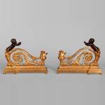 Belle paire de chenets de style Louis XVI en bronze doré et patiné aux putti