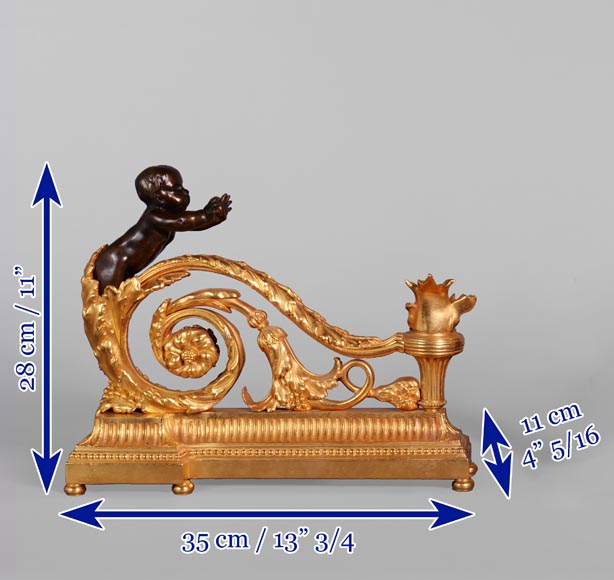 Belle paire de chenets de style Louis XVI en bronze doré et patiné aux putti-9