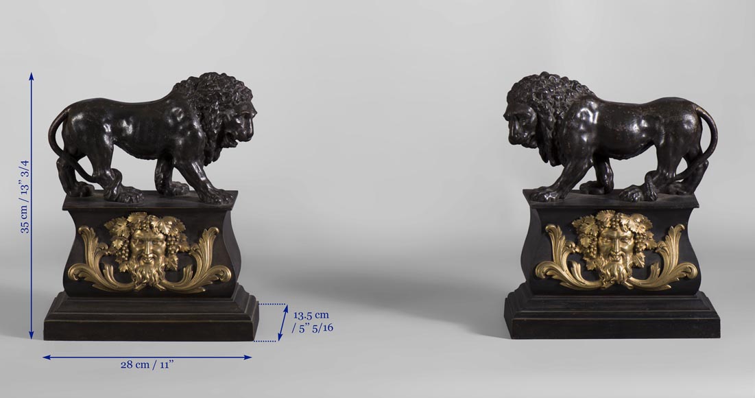 Paire de chenets anciens en bronze patiné et bronze doré décorés de lions et masques de Bacchus, du XIXe siècle.-7