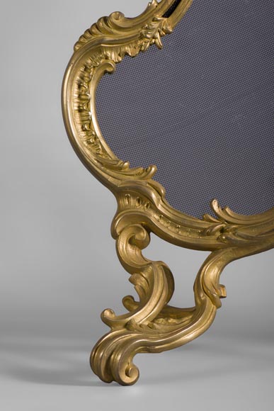 Pare étincelles ancien de style Louis XV en bronze doré à décor d'oiseaux et d'attributs musicaux-3
