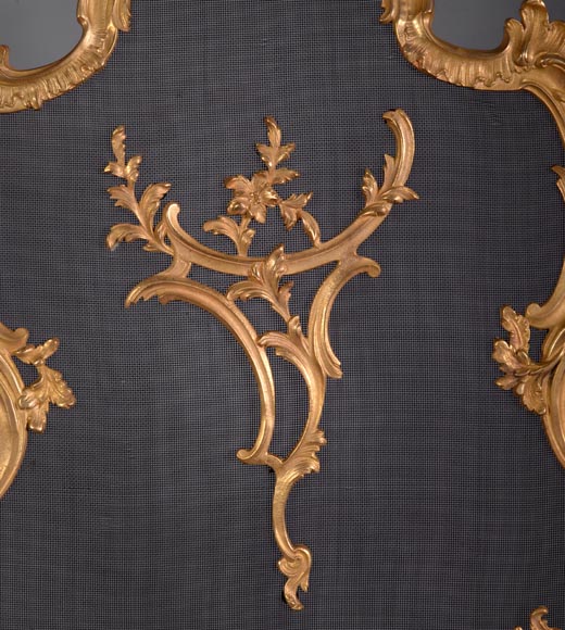 Beau pare-etincelles ancien en bronze doré de style Louis XV-2