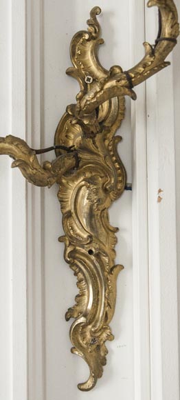 Paire d'appliques Louis XV en bronze doré-1