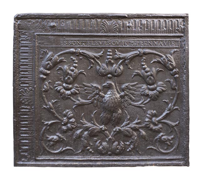 Plaque de cheminée du XVIIIe à décor de phénix parmi des fleurs et rinceaux-0