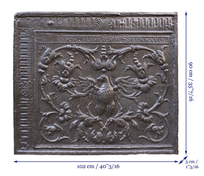 Plaque de cheminée du XVIIIe à décor de phénix parmi des fleurs et rinceaux-6