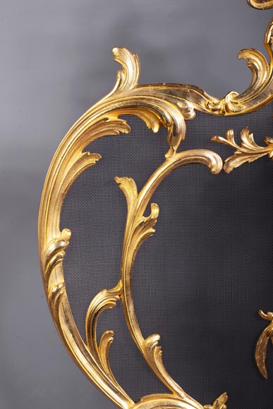 Pare-étincelles anciens de style Louis XV en bronze doré-1