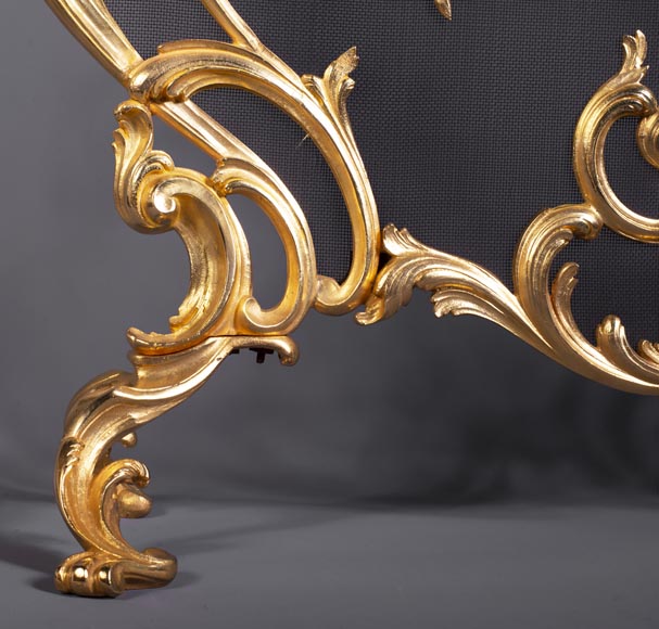 Pare-étincelles anciens de style Louis XV en bronze doré-5