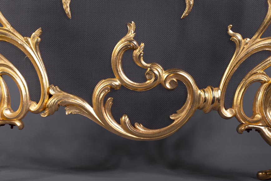 Pare-étincelles anciens de style Louis XV en bronze doré-6