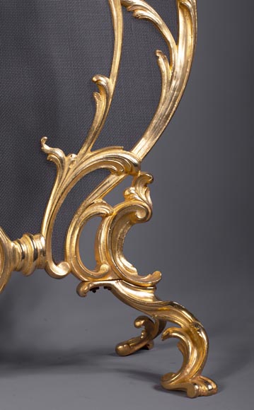 Pare-étincelles anciens de style Louis XV en bronze doré-7