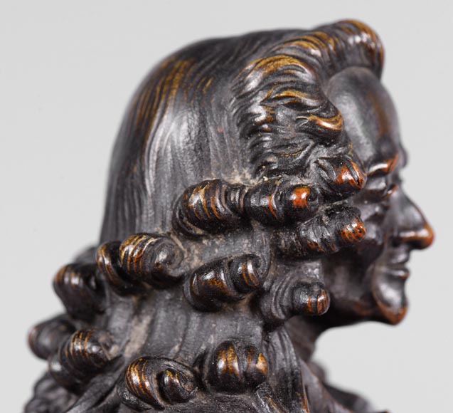 Paire de bustes Voltaire et Rousseau en bronze patiné et marbre -10