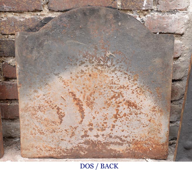 Petite plaque de cheminée en fonte de style Louis XVI au canard et au cygne-4