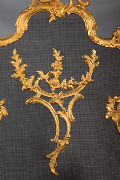 Pare étincelle de style Louis XV en bronze doré aux roses-2