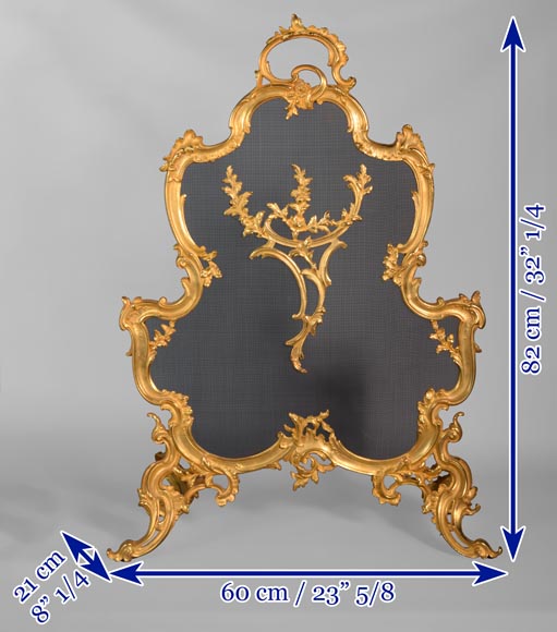 Pare étincelle de style Louis XV en bronze doré aux roses-6
