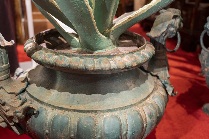Paire de vase en fonte avec des agaves-7