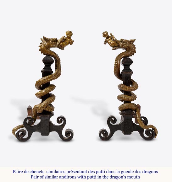 Importante paire de chenets en fer forgé ornés de dragons en bronze,début du XXe siècle-1