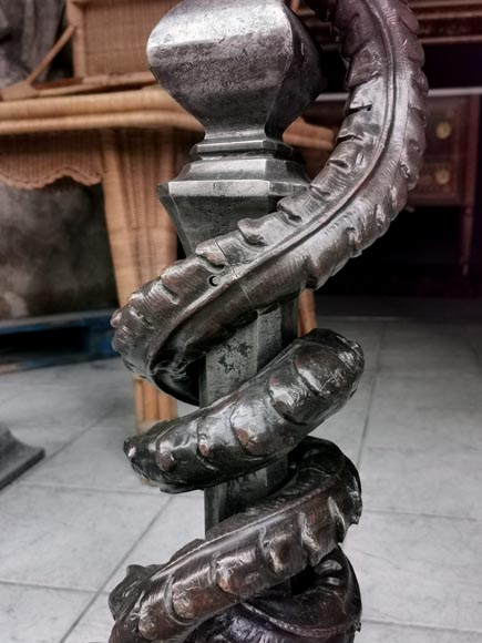 Importante paire de chenets en fer forgé ornés de dragons en bronze,début du XXe siècle-5