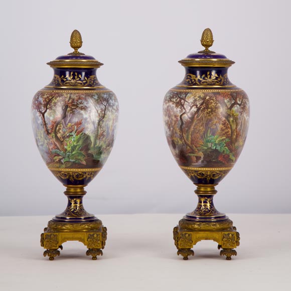 Paire de vases en porcelaine Sèvres montés en bronze doré et peints par J. Machereau, vers 1870-2