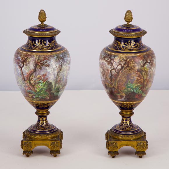Paire de vases en porcelaine Sèvres montés en bronze doré et peints par J. Machereau, vers 1870-3