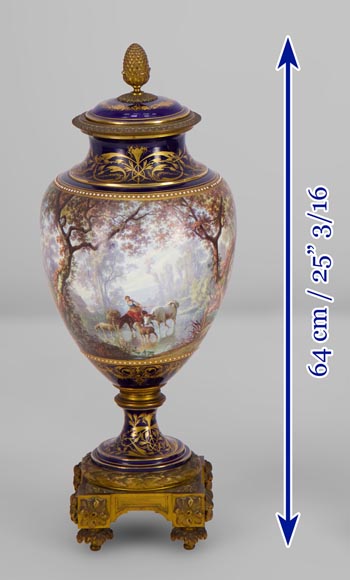 Paire de vases en porcelaine Sèvres montés en bronze doré et peints par J. Machereau, vers 1870-7