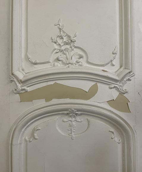 Deux double portes palières de style Louis XV -14