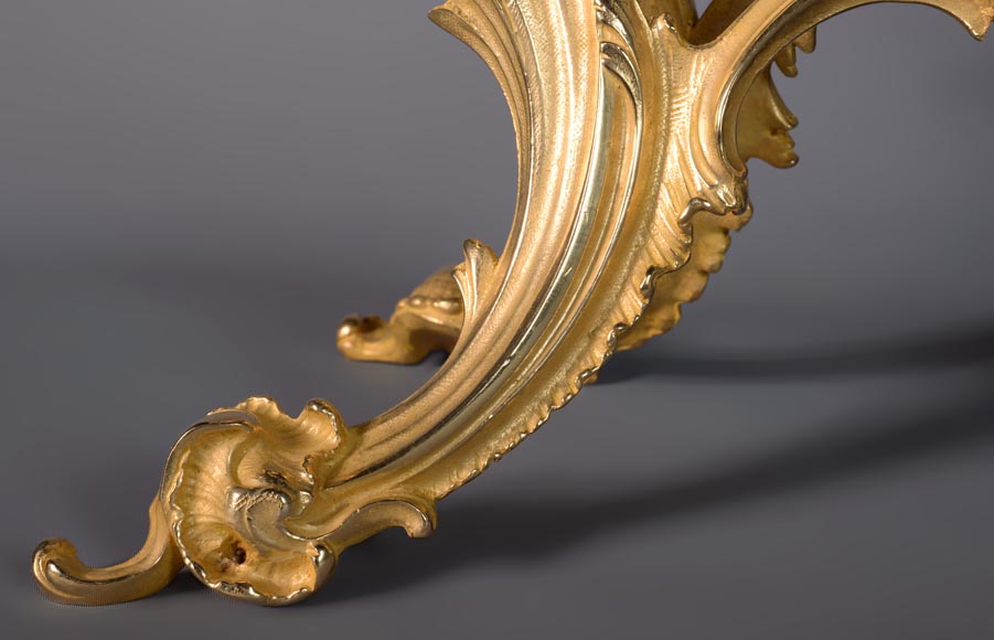 Pare-étincelle de style Louis XV en bronze doré au décor végétal-5