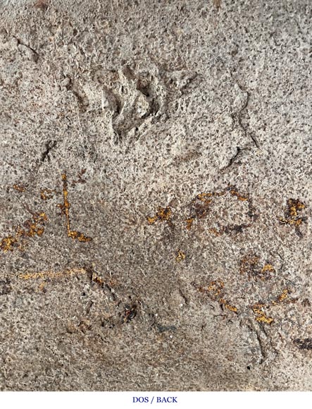 Plaque de cheminée au phénix, décorée d'enroulements-9