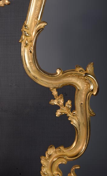 Pare étincelle de style Louis XV au papillon-4