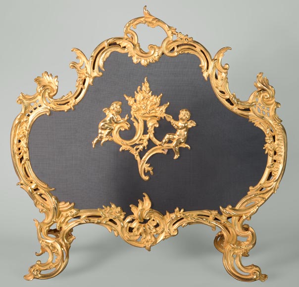 Pare étincelle de style Louis XV en bronze doré-0