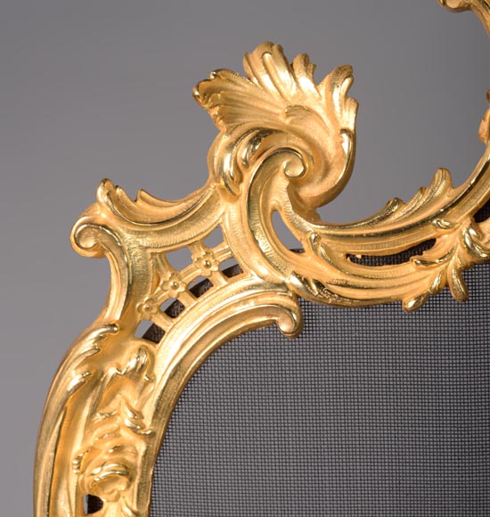 Pare étincelle de style Louis XV en bronze doré-3