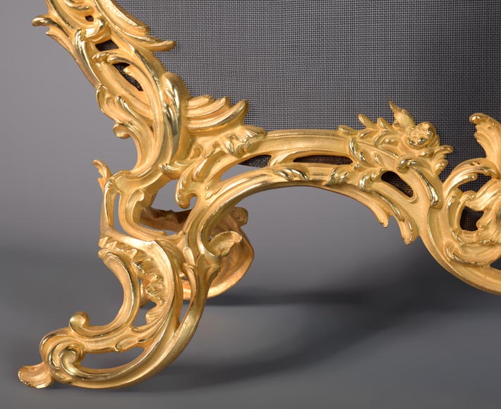 Pare étincelle de style Louis XV en bronze doré-5