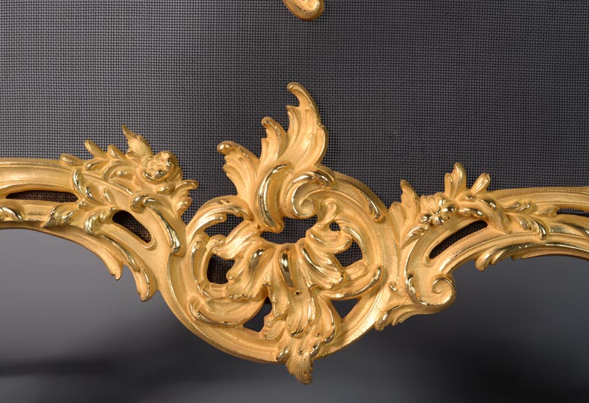 Pare étincelle de style Louis XV en bronze doré-6