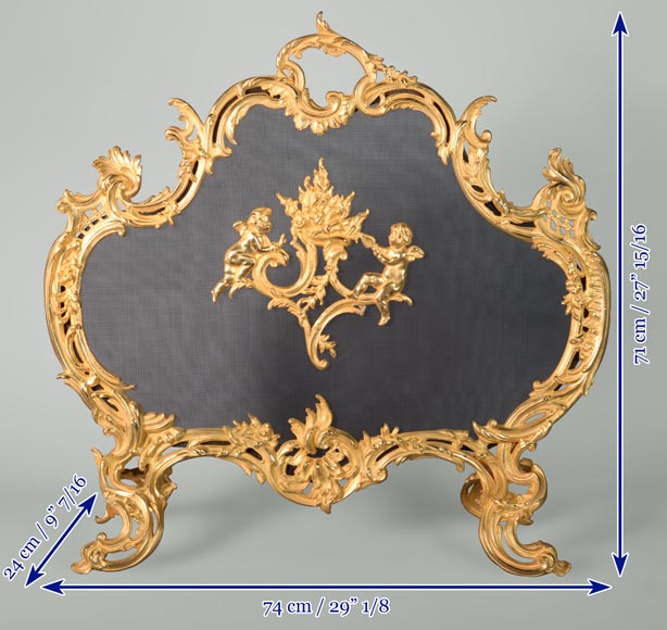 Pare étincelle de style Louis XV en bronze doré-9