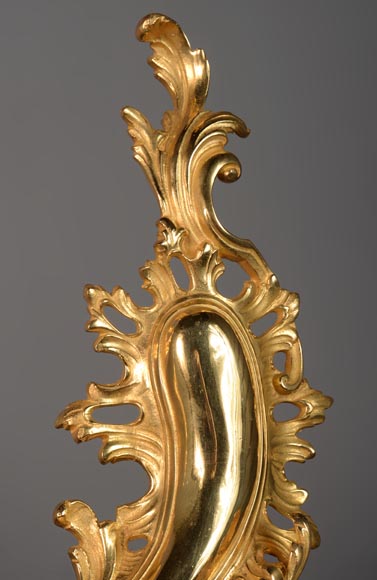 Belle barre de chenets de style Louis XV en bronze doré-5
