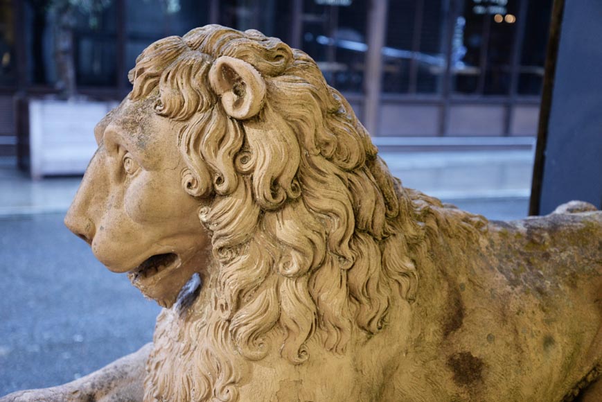 Paire de statues de lion en terre cuite, XVIIIe siècle-6