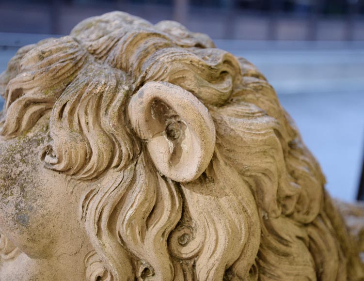 Paire de statues de lion en terre cuite, XVIIIe siècle-7