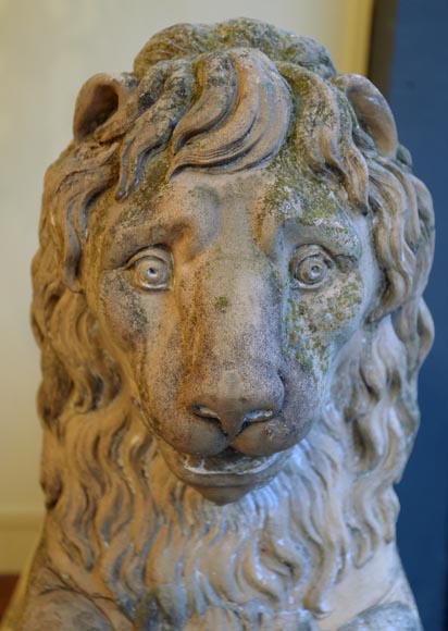 Paire de statues de lion en terre cuite, XVIIIe siècle-11