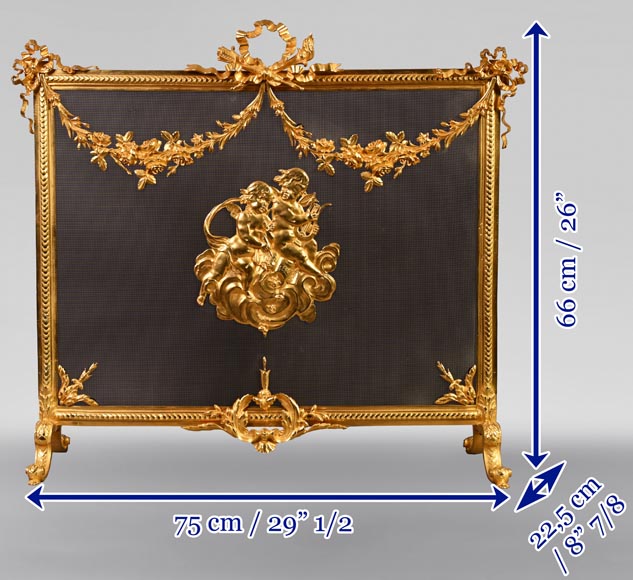 Pare étincelle en bronze doré de style Napoléon III-9