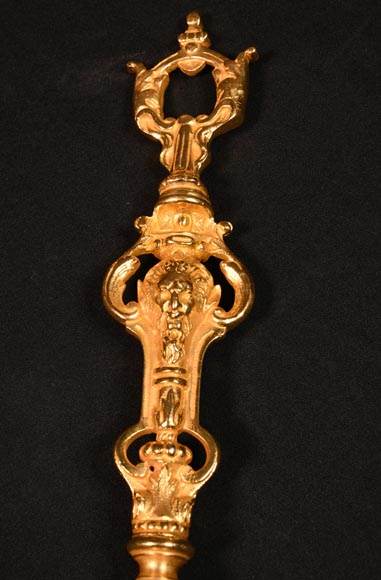 Serviteur de cheminée de style Napoléon III en bronze doré-5