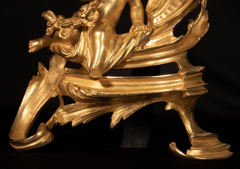 Paire de chenets de style Louis XV à décor de putti-6