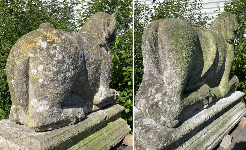 Paire de lions en pierre d'époque médiévale-18