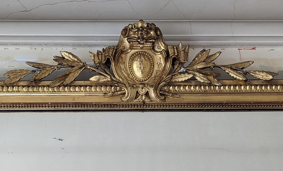 Trumeau doré de style Napoléon III orné d'un médaillon et de branches feuillues-1