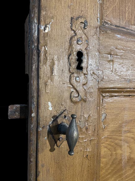 Porte moulurée en bois résineux, peinte à l'imitation du chêne-4