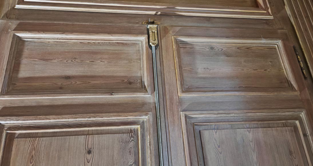 Ensemble de 4 doubles portes en bois sculpté-9