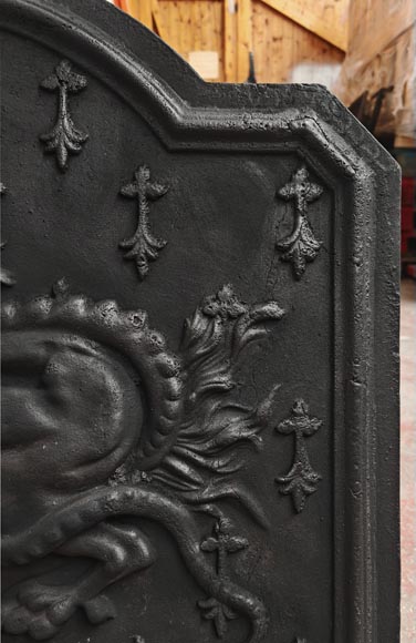 Plaque de cheminée à la salamandre de François Ier-1