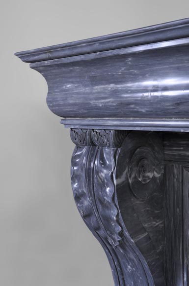 Belle cheminée de style Restauration à pattes de lions en marbre Bleu Turquin-3