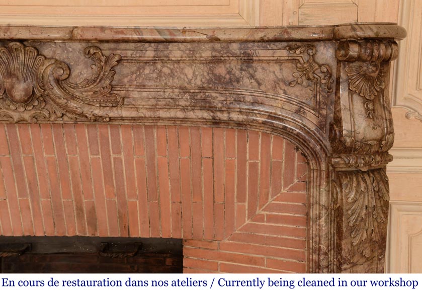 Cheminée ancienne de style Régence richement sculptée, en marbre Sarrancolin Ilhet-10