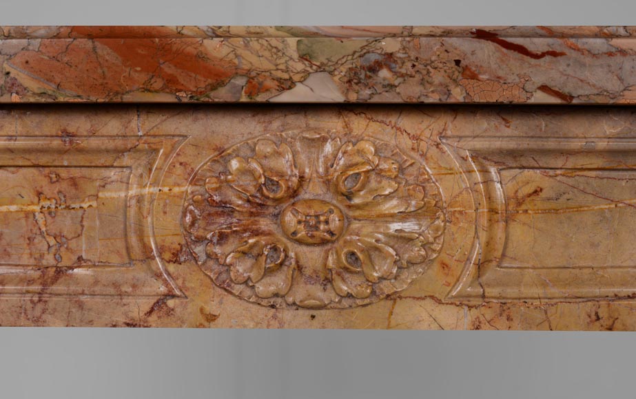 Cheminée de style Louis XVI à colonnes détachées en marbre Sarrancolin -1