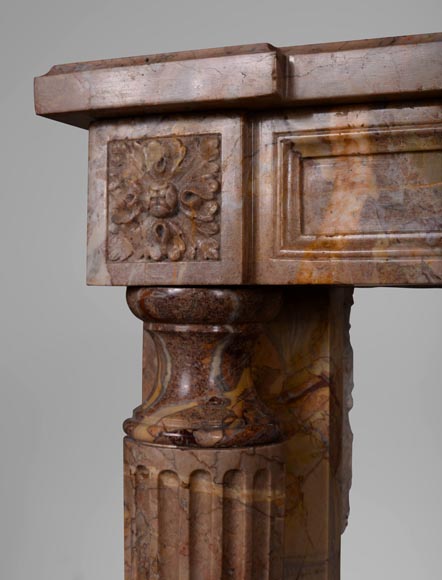 Cheminée de style Louis XVI à colonnes détachées en marbre Sarrancolin -4