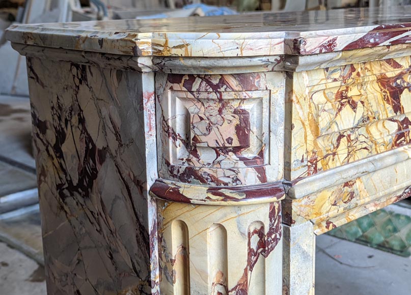 Cheminée de style Louis XVI en marbre Sarrancolin-3