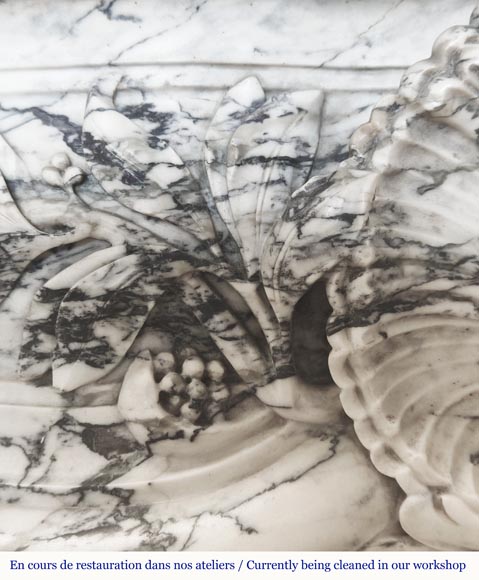 Grande cheminée de style Louis XV décorée d'une large coquille, en marbre de Saravenza-4